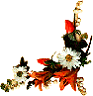 k123.gif (4805 bytes)