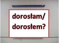 dorslam